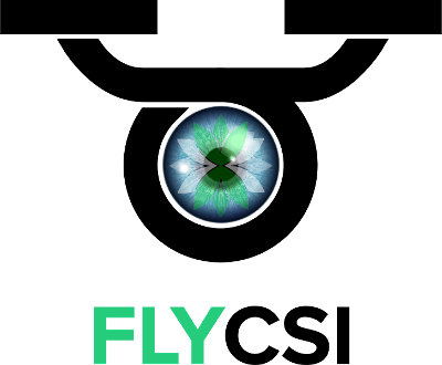 Fly csi